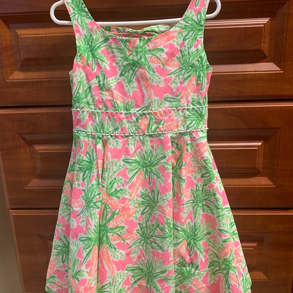 Lilly Pulitzer Other - EUC Lilly Pulitzer girls carrot Nibbles dress